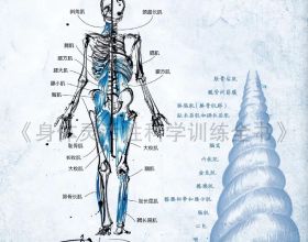 紅色哥薩克：八路軍第129師騎兵團抗日傳奇