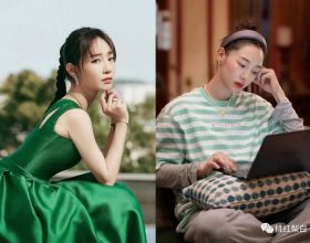 全新愛麗舍新能源：外觀拉胯，內飾更拉跨，優勢就是優惠大？