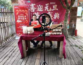 原神：八重神子將要出現時眾人的反應
