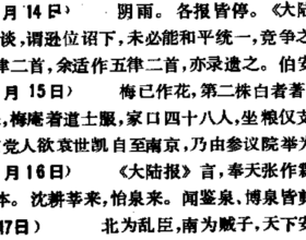 乘聯會：1月新能源乘用車市場銷量34.7萬輛
