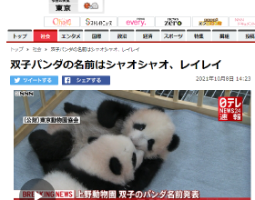 在日本上野動物園誕生大熊貓雙胞胎名字確定：“曉曉”和“蕾蕾”