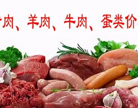2021年9月20日北京新發地豬肉羊肉牛肉雞蛋價格