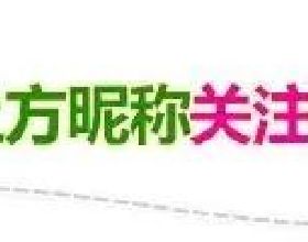 蘋果優先生產 iPhone 13 系列，iPad 交貨期最長達 63 天