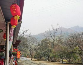 這3款茶價格親民，口感好，營養足。行家：不愛喝水人的救星