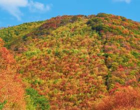 這被譽為“中華楓葉之路”，鮮為人知，但秋色絕美，適合自駕感受
