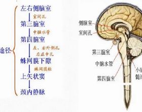 冰雪傳世群英領地封號更新後都有哪些調整