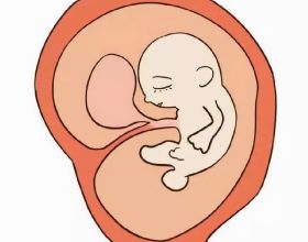 懷孕最後一個月胎兒能長多少斤？