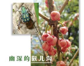 慘遭取消的一款大作，《星球大戰：1313》未完成影片洩露