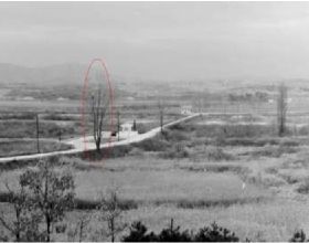 1976年朝韓邊境的一棵樹，險些引發二次朝戰，2名美軍當場被打死