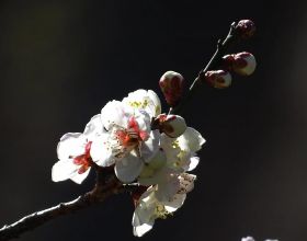 如何選擇合適的手機？要看哪些方面？