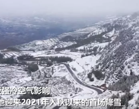 從《道德經》來看孩子跟爸爸姓，還是跟媽媽姓