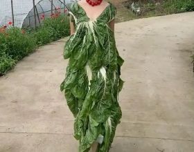 女大學生用蔬菜製作衣服，上演鄉間田野“大片”