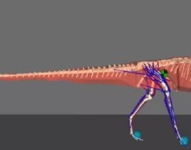 研究稱一些恐龍可能擺動它們的尾巴來幫助它們移動