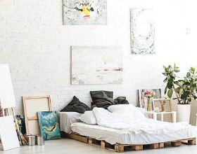 改善居室環境、提升睡眠質量：臥室適合擺三種花