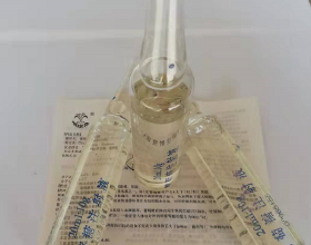 網傳榮耀Magic 4或配備副屏，整體外觀設計變化顯著