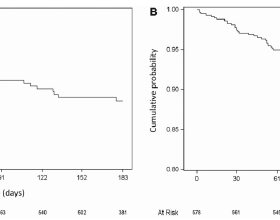 全球新能源車銷量前10排名，中國品牌佔6名額，強勢霸榜！