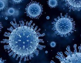 不眠：“為什麼你會愛上熬夜？”