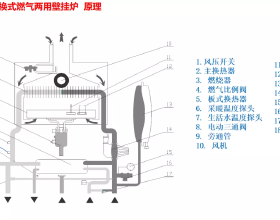 隱藏技能藏不住了！石大餐廳員工請假到北京冬奧會做技術官員了