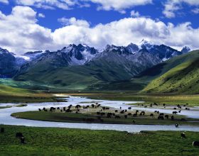 發現了男足輸球的重要原因：食譜錯了
