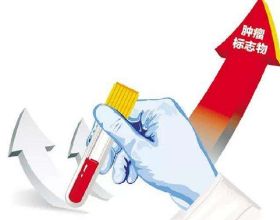 快手打擊仿冒帳號 嚴禁借其他創作者名義賣貨