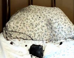 隕石墜落在加拿大女子旁邊的枕頭上，她奇蹟般地逃脫了死亡