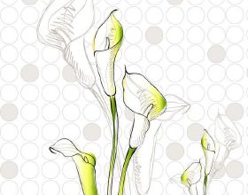 美國在外圍構築對華包圍圈！太平洋島國和印度成支點