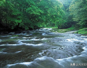 戶型鑑賞：260㎡四房兩廳三衛，大面寬橫廳設計，高達68%窗牆比