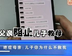 嵐圖FREE，空間寬敞，配694馬力，百公里加速4.5s，售價31.36萬