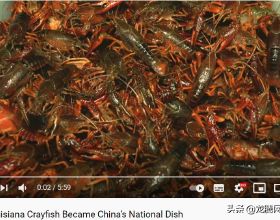 「龍騰網」路易斯安那小龍蝦是怎麼成為“中國國民美食”的？