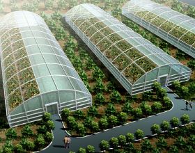 BEOL智慧科技助力農業經濟迅速發展