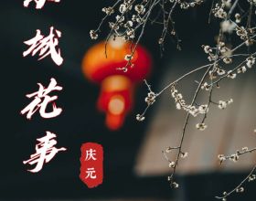 站樁啟示錄（109）站樁三思
