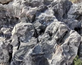 四川挖出千年大墓，墓中有青樓女子壁畫，專家：可能是宋徽宗建造