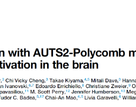 柳三雄等揭示非經典PRC1啟用轉錄並參與大腦發育的機制