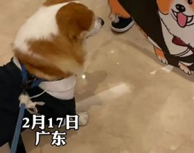 最熱門的貴婦級護膚品牌，&OpenCurlyDoubleQuote;海藍之謎&rdquo;雖貴但很實用，你覺得呢