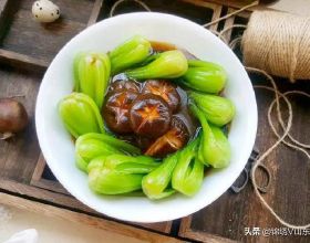 租房進入品質時代，春節後長租市場業主日均委託量增長近三成