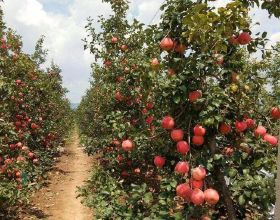 夠精！阿里工作8年熬到P7，所有經驗全在這481頁面試參考指南里了