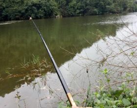 野外釣魚為什麼不合適使用新關東魚鉤？