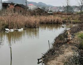 科學家解釋地軸傾斜如何造就了短暫而寒冷的1月