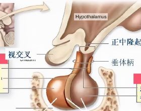 提醒胃不好的人，這5件事做多了，或許會加重反酸燒心、胃酸反流