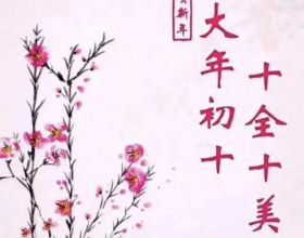 分享圖片——最美的鳥語花香集錦