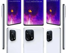 魚缸油膜的危害性不言而喻，怎麼處理油膜呢？