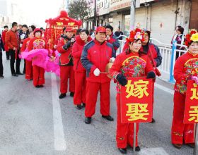 中藥古今研究：葒草、葒草花、葒草根