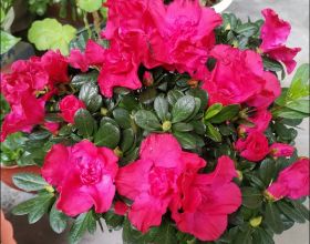 美官員：俄羅斯在烏克蘭周邊集結高達19萬士兵，為&OpenCurlyDoubleQuote;二戰以來最大軍事動員&rdquo;