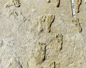 23000 年前的腳印顯示人類可能更早踏上美洲