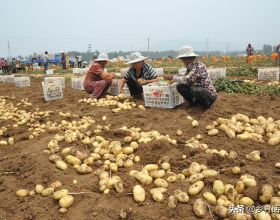 日常生活中這些不合理的設計，真的讓我崩潰（漫畫）