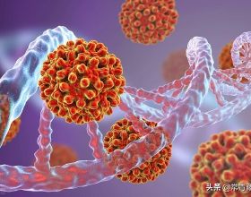 要麼健身，要麼讀書，身體與靈魂必須有一個在路上