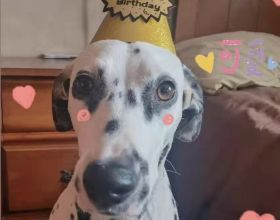 【交警提示】這些情況，如何正確掉頭？看完就懂了