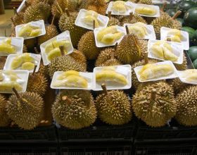 泰國將榴蓮作為特色農產品推廣提升出口額