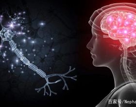 《異星探險家》：星空下的生存探險之旅