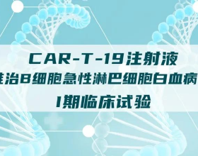 抓招商 促專案 謀發展丨吉林省秋林集團：打造肉羊全產業鏈 富裕一方百姓